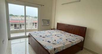 1 BHK Builder Floor For Rent in DLF City Phase V Dlf Phase V Gurgaon 6669435