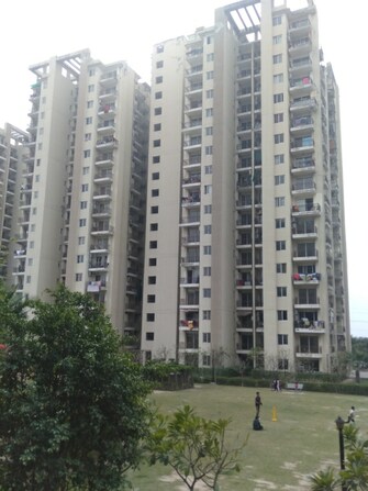 4 BHK Apartment For Resale in MGH Mulberry County Sector 70 Faridabad  6670000