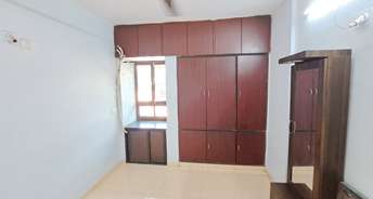 1 BHK Apartment For Rent in Kachnar CHS Vasant Vihar Vasant Vihar Thane 6670018
