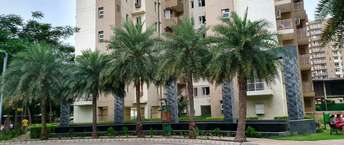 3 BHK Apartment For Rent in BPTP Terra Sector 37d Gurgaon 6670042