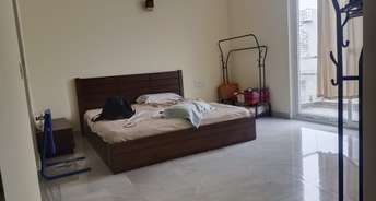 3 BHK Builder Floor For Rent in Koramangala Bangalore 6670060