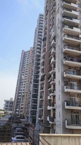 4 BHK Apartment For Resale in RG Residency Sector 120 Noida 6670284