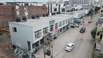 Commercial Shop 600 Sq.Ft. For Resale In Sector 125 Mohali 6671200