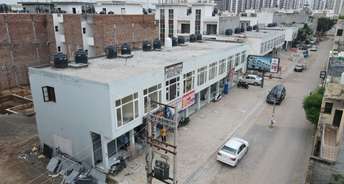 Commercial Shop 600 Sq.Ft. For Resale In Sector 125 Mohali 6671200