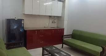 1 BHK Builder Floor For Rent in Sushant Lok 1 Sector 43 Gurgaon 6671341