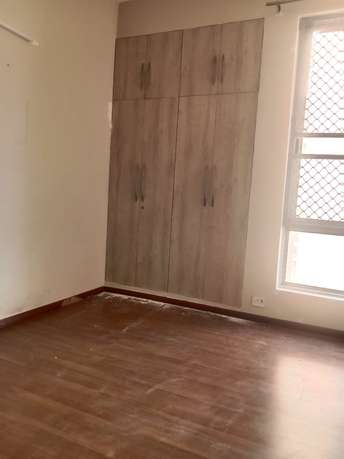 3 BHK Builder Floor For Rent in Orchid Island Sector 51 Gurgaon 6671410