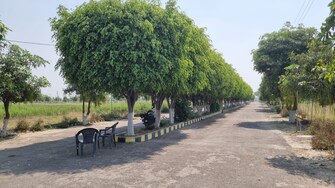 Plot For Resale in Arrant Annpurna Eco Green Mohanlalganj Lucknow  6671549