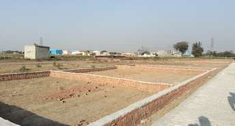  Plot For Resale in Sarurpur Faridabad 6671571