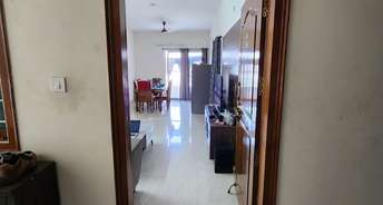 3 BHK Apartment For Rent in Yula Venkata Narayana Residency Kondapur Hyderabad 6671551