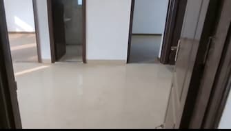 3 BHK Builder Floor For Resale in BPTP Park Elite Floors Sector 85 Faridabad  6671582