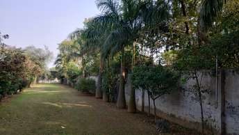  Plot For Resale in Sector 143 Faridabad 6671580