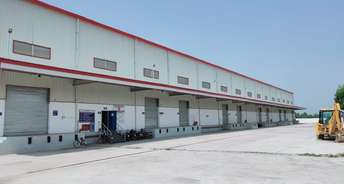 Commercial Warehouse 69000 Sq.Ft. For Rent In Sisandi Lucknow 6671789