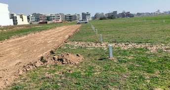 Commercial Land 560 Acre For Resale In North Mullanpur Chandigarh 6671886