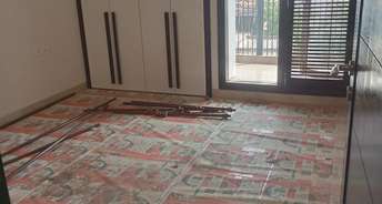 3 BHK Builder Floor For Rent in Vivek Vihar Phase 1 Delhi 6671947