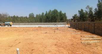  Plot For Resale in Spacevision Ambience Shadnagar Hyderabad 6636230