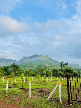 Plot For Resale in Narayampuram Pali  6672111