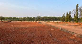  Plot For Resale in Shabad Hyderabad 6672566