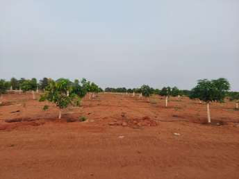  Plot For Resale in Champapet Hyderabad 6672782