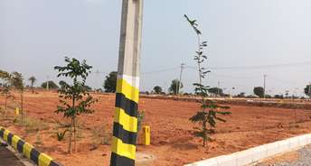  Plot For Resale in Yacharam Hyderabad 6673290