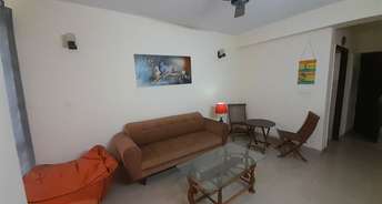 1.5 BHK Builder Floor For Rent in RWA Apartments Sector 31 Noida 6673711