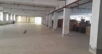 Commercial Showroom 11000 Sq.Ft. For Rent In Sector 59 Noida 6656823
