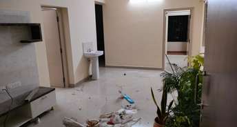 2 BHK Builder Floor For Rent in Whitefield Bangalore 6674051