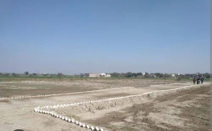 Plot For Resale in Aerocity Chandigarh  6674042