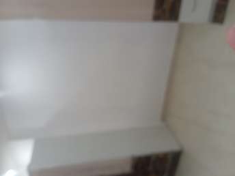 3 BHK Builder Floor For Rent in Paschim Vihar Delhi 6674335