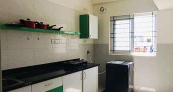 1 BHK Apartment For Rent in White Orchids Whitefield Bangalore 6674387