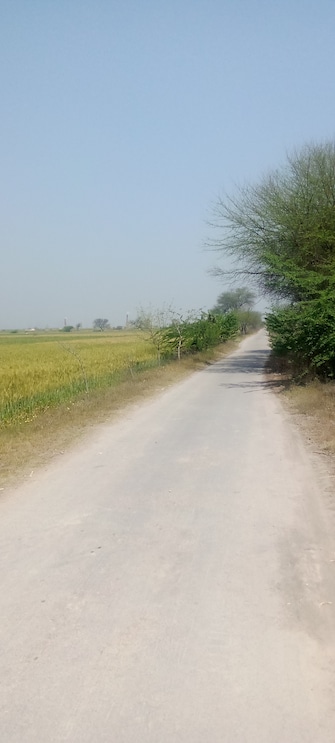 Commercial Land 7744 Sq.Yd. For Resale in Barhana Jhajjar  6674571