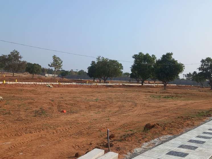 Viresh Builder Sector 63 Noida