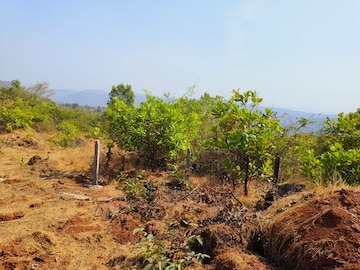 Plot For Resale in Mangaon Raigad  6675168