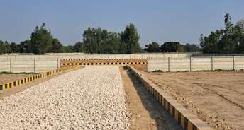  Plot For Resale in Ansal Sushant Golf city Sushant Golf City Lucknow 6675273
