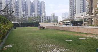 2 BHK Apartment For Rent in M3M Woodshire Sector 107 Gurgaon 6675512