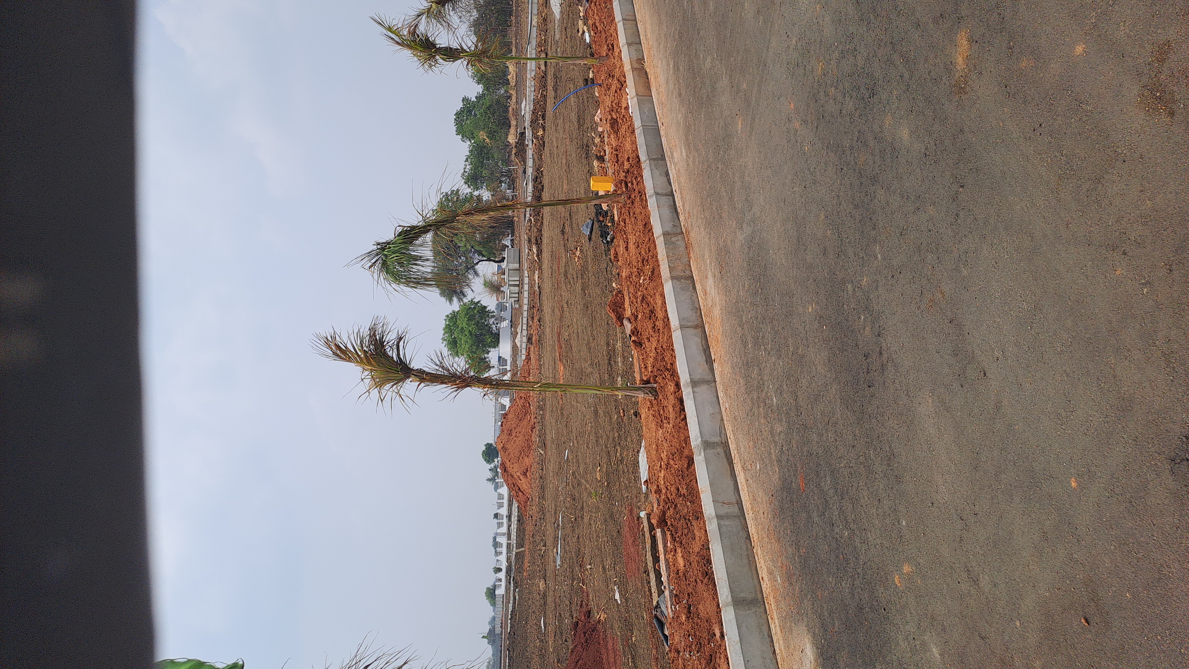 Plot For Resale in Peddapur Hyderabad  6675752