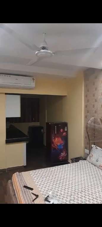 1 RK Apartment For Rent in DLF Capital Greens Phase 3 Moti Nagar Delhi 6675893