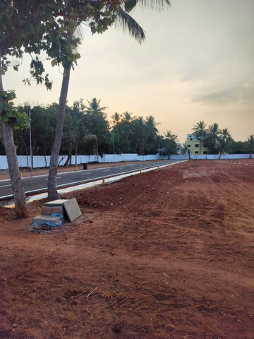 Plot For Resale in Sengulum Colony Trichy  6676595