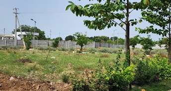  Plot For Resale in Mahidhara City Patighanpur Hyderabad 6676641