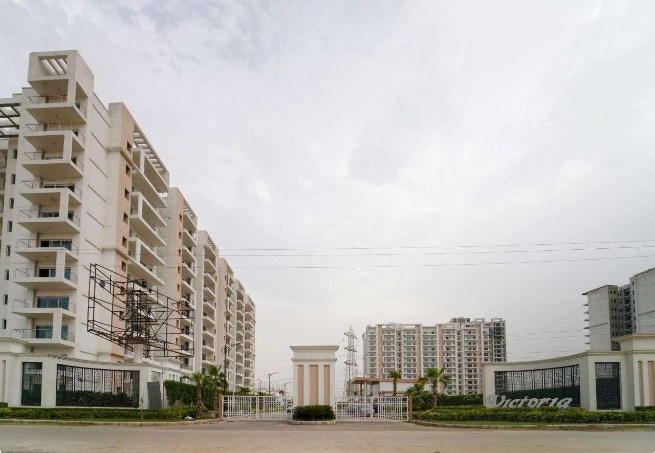 3 BHK Apartment For Rent in Anant Raj Ashok Estate Sector 63a Gurgaon 6676806