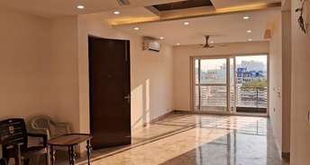 3 BHK Apartment For Rent in Ansal Esencia   Amara Villas Sector 67 Gurgaon 6677311