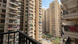 2 BHK Apartment For Resale in Ace City Noida Ext Sector 1 Greater Noida  6677712