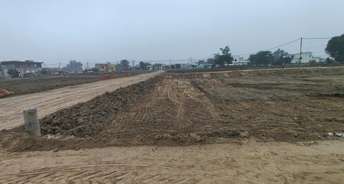  Plot For Resale in Bhagwanpur Yamuna Nagar 6677809