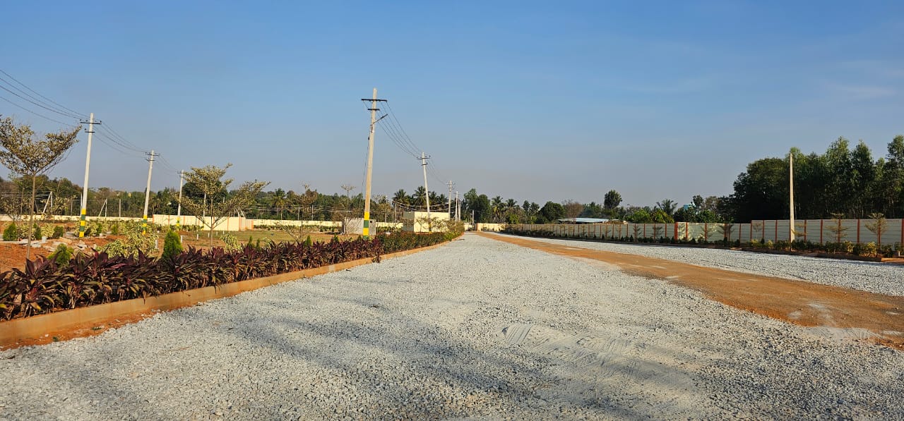 Resale Commercial Land 3600 Sq.Ft. in Panampilly Nagar Kochi 6677797