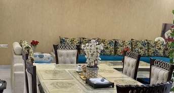 3 BHK Apartment For Rent in Lords Apartment Sector 19, Dwarka Delhi 6677868