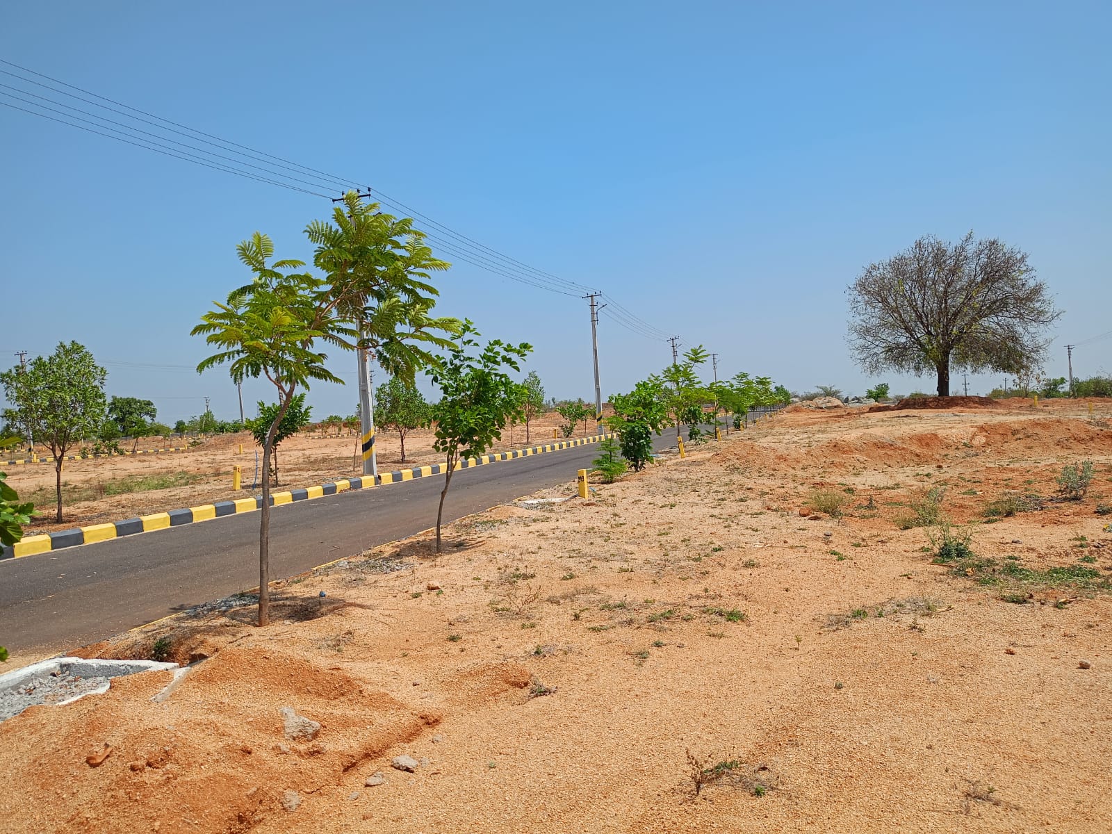 Plot For Resale in Shamshabad Road Hyderabad  6677956