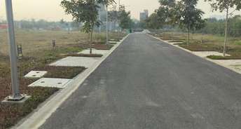  Plot For Resale in Sector 97 Faridabad 6678148