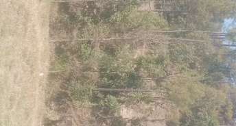 Commercial Land 10500 Sq.Ft. For Resale In Dhanachuli Nainital 6678157