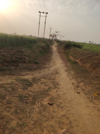 Commercial Land 3 Acre For Resale in Chander Nagar Gurgaon  6678265