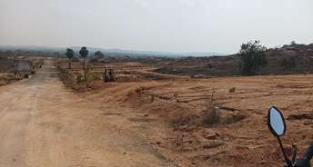 Commercial Land 2 Acre For Resale In Tellapur Hyderabad 6678372
