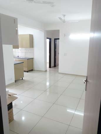 2 BHK Apartment For Rent in Gulshan Botnia Sector 144 Noida  6678449